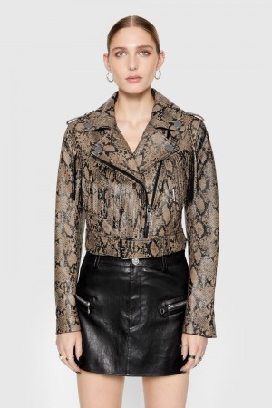 Rebecca Minkoff Janis Python Fringe Moto Leather Damen Python Printed Foil | UQY814306